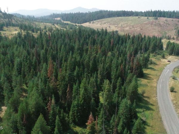 NNA Tyson Creek Rd, Santa, ID 83866