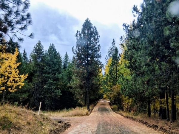 706 mccammon Rd, Elk, WA 99009
