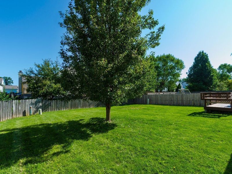 304 Meadow Ash Drive , Lewis Center, OH 43035 Photo 39