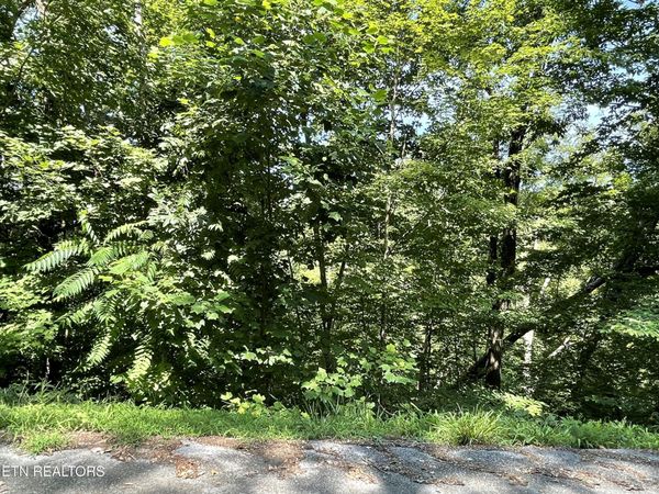 Lot 926 Stoneway Court, Baneberry, TN 37890