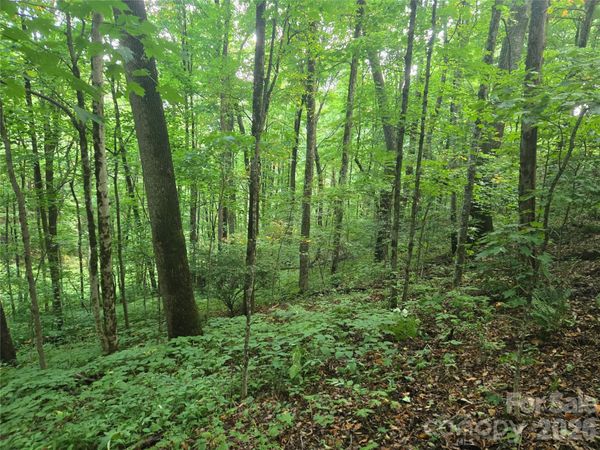000 Rosemount Road , Sylva, NC 28779