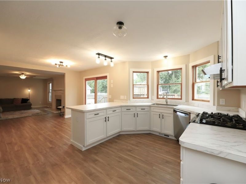 1100 Dover Drive, Medina, OH 44256 Photo 5