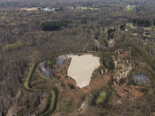 527 SFC 345 Road , Widener, AR 72394