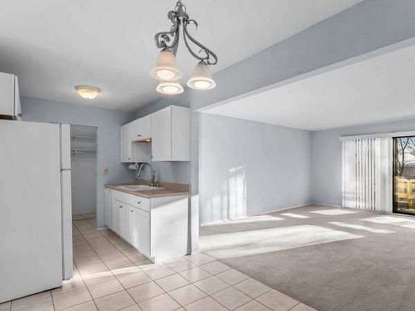 4397 Wilshire Boulevard , Unit 204, Mound, MN 55364