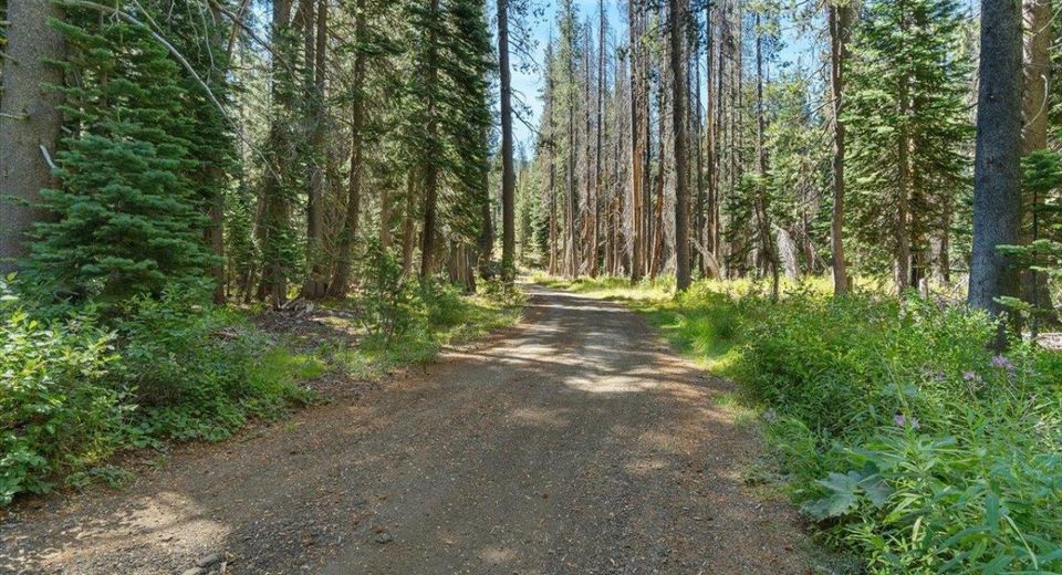 20414 Us Highway 50, South Lake Tahoe, CA 96155 Photo
