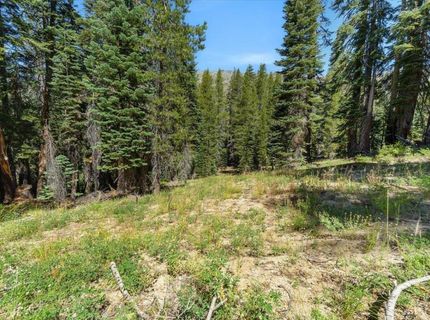 20414 Us Highway 50, South Lake Tahoe, CA 96155 Photo