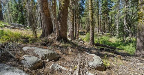 20414 Us Highway 50, South Lake Tahoe, CA 96155 Photo