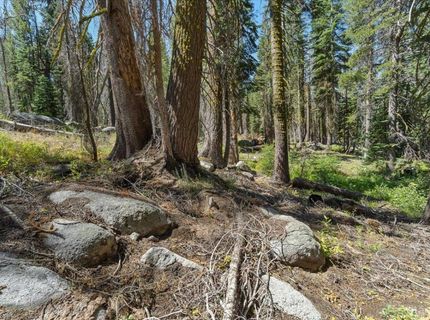 20414 Us Highway 50, South Lake Tahoe, CA 96155 Photo