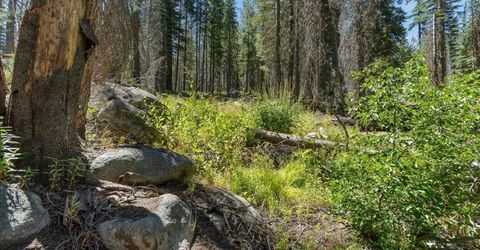 20414 Us Highway 50, South Lake Tahoe, CA 96155 Photo