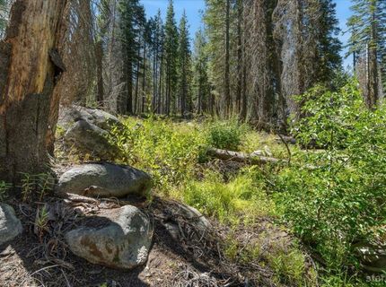 20414 Us Highway 50, South Lake Tahoe, CA 96155 Photo