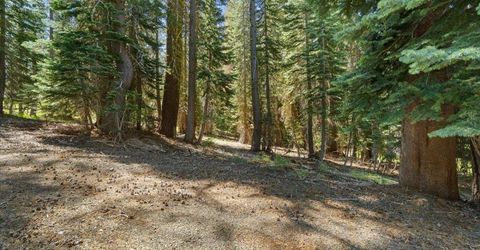 20414 Us Highway 50, South Lake Tahoe, CA 96155 Photo