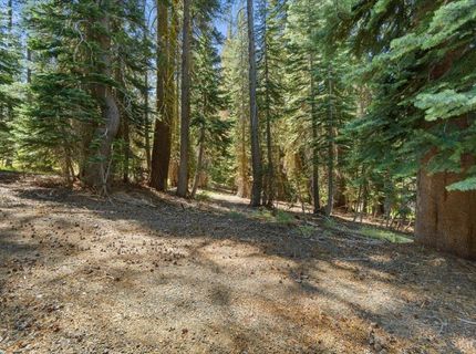 20414 Us Highway 50, South Lake Tahoe, CA 96155 Photo