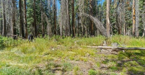 20414 Us Highway 50, South Lake Tahoe, CA 96155 Photo
