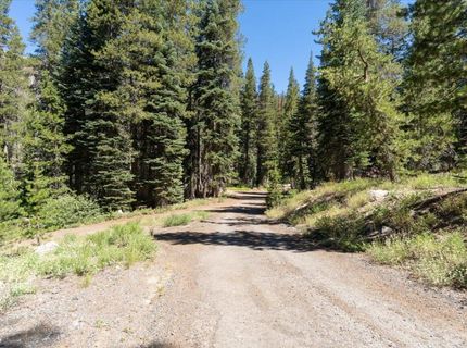 20414 Us Highway 50, South Lake Tahoe, CA 96155 Photo
