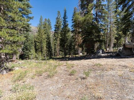 20414 Us Highway 50, South Lake Tahoe, CA 96155 Photo