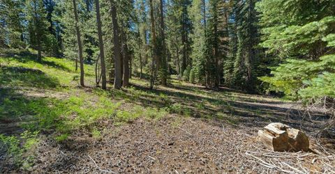 20414 Us Highway 50, South Lake Tahoe, CA 96155 Photo