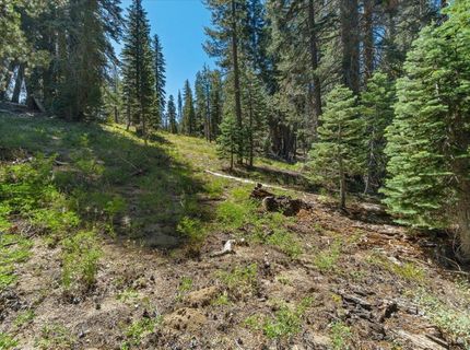 20414 Us Highway 50, South Lake Tahoe, CA 96155 Photo