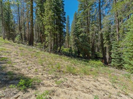 20414 Us Highway 50, South Lake Tahoe, CA 96155 Photo