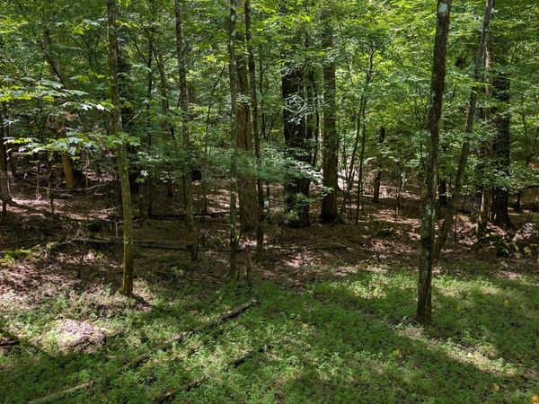 LOT 3079 Monocle Drive, Ellijay, GA 30540