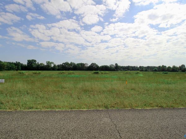 17170 Red Hill Road, Athens, AL 35611