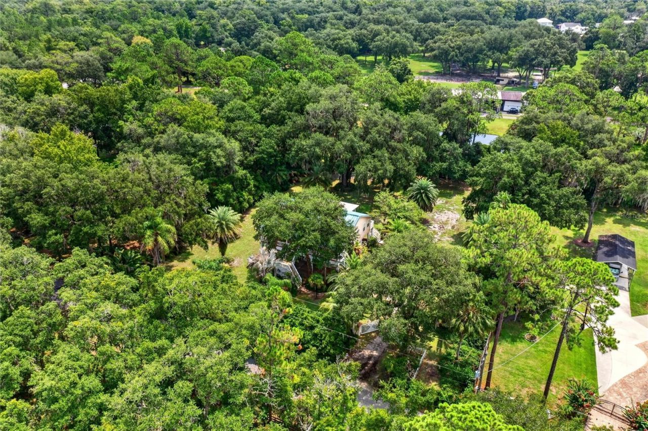 8435 Florence Cove Road, Saint Augustine, FL 32092 Photo