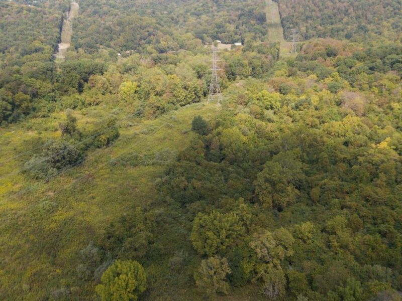 3098 Nelp Road, Pierce Twp, OH 45157 Photo 11