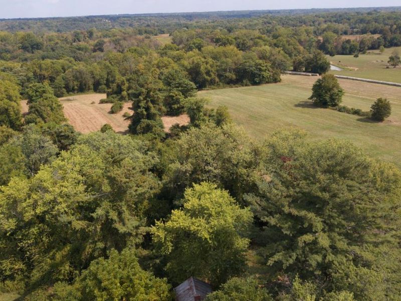 3098 Nelp Road, Pierce Twp, OH 45157 Photo 12