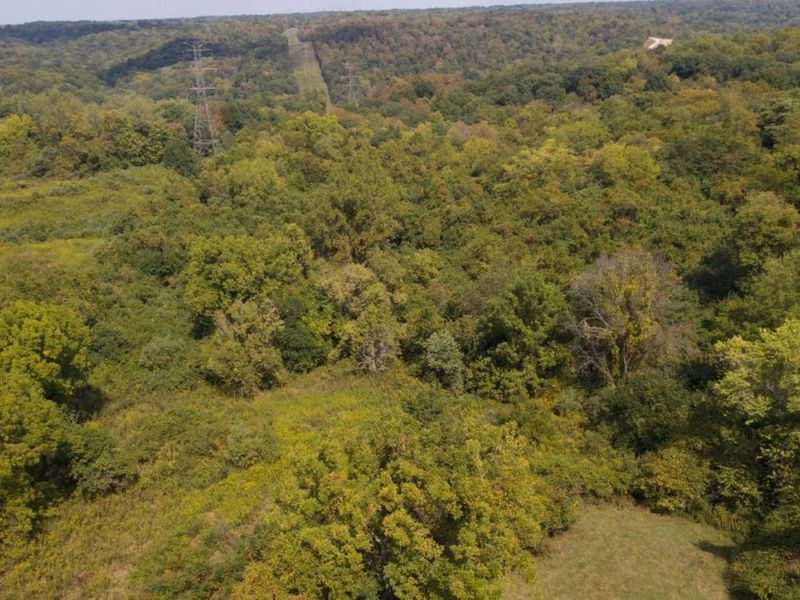 3098 Nelp Road, Pierce Twp, OH 45157 Photo 14