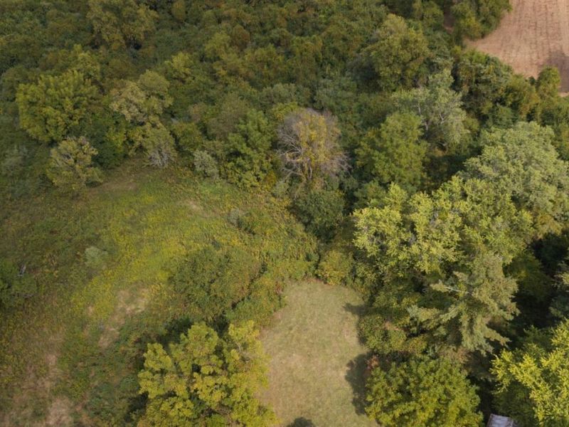 3098 Nelp Road, Pierce Twp, OH 45157 Photo 9