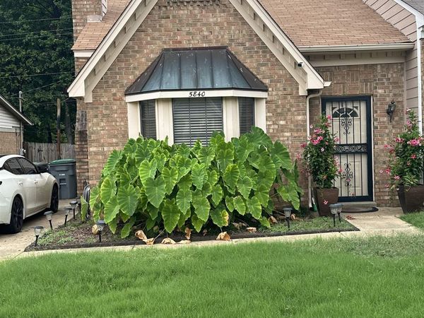 5840 GRASSY VALLEY DR, Memphis, TN 38141