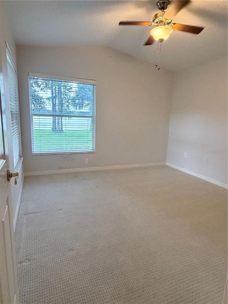 3704 Swans Landing Drive, Land O Lakes, FL 34639 Photo