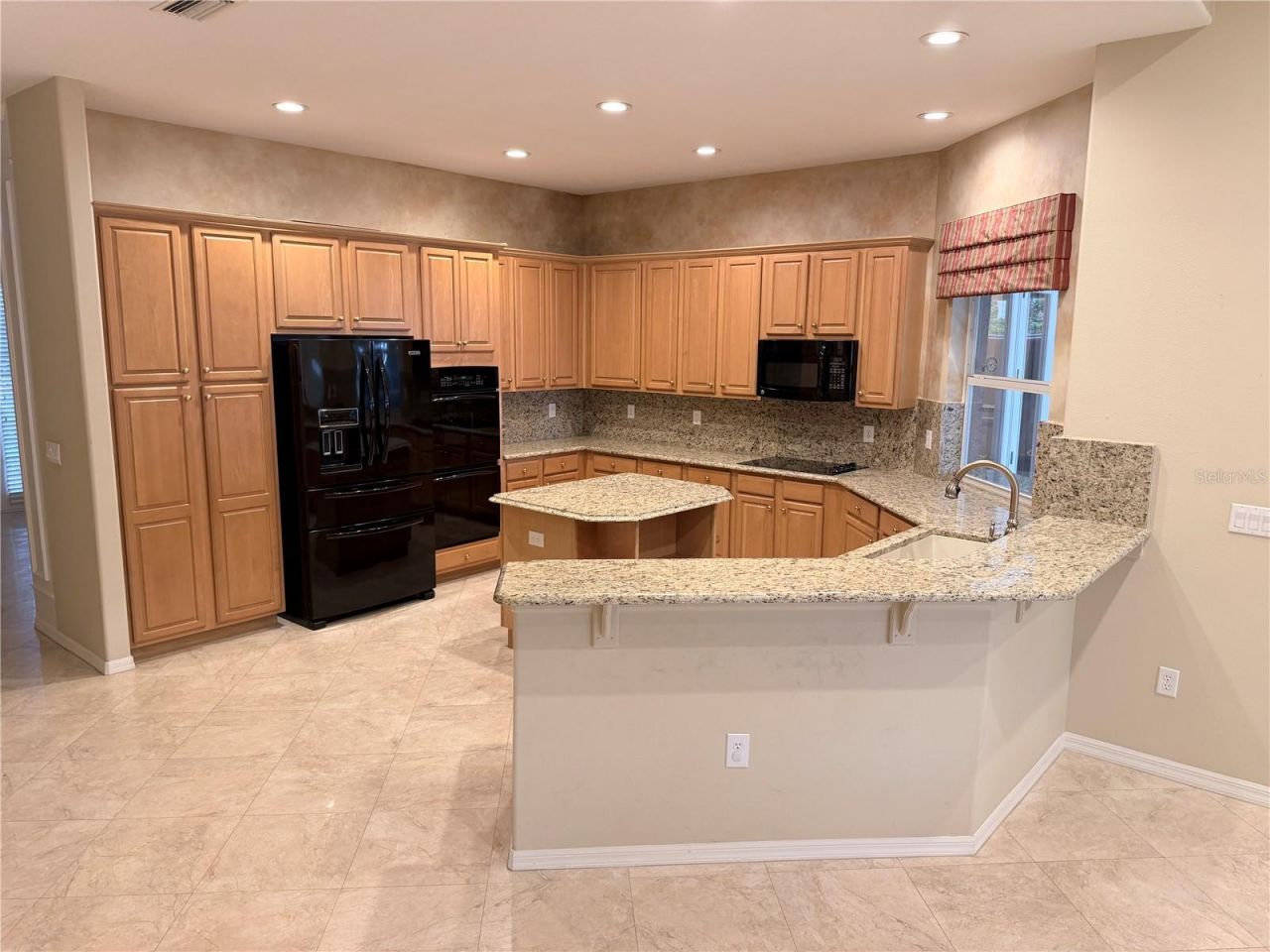 3704 Swans Landing Drive, Land O Lakes, FL 34639 Photo