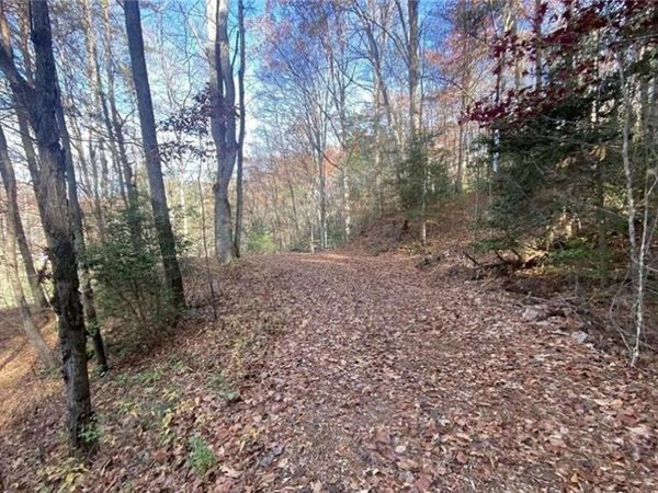 1 Barefoot Hills Road, Hiawassee, GA 30546
