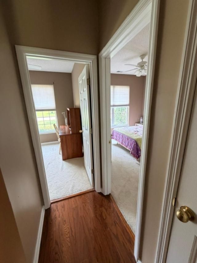 121 Cabrill Drive Photo 25