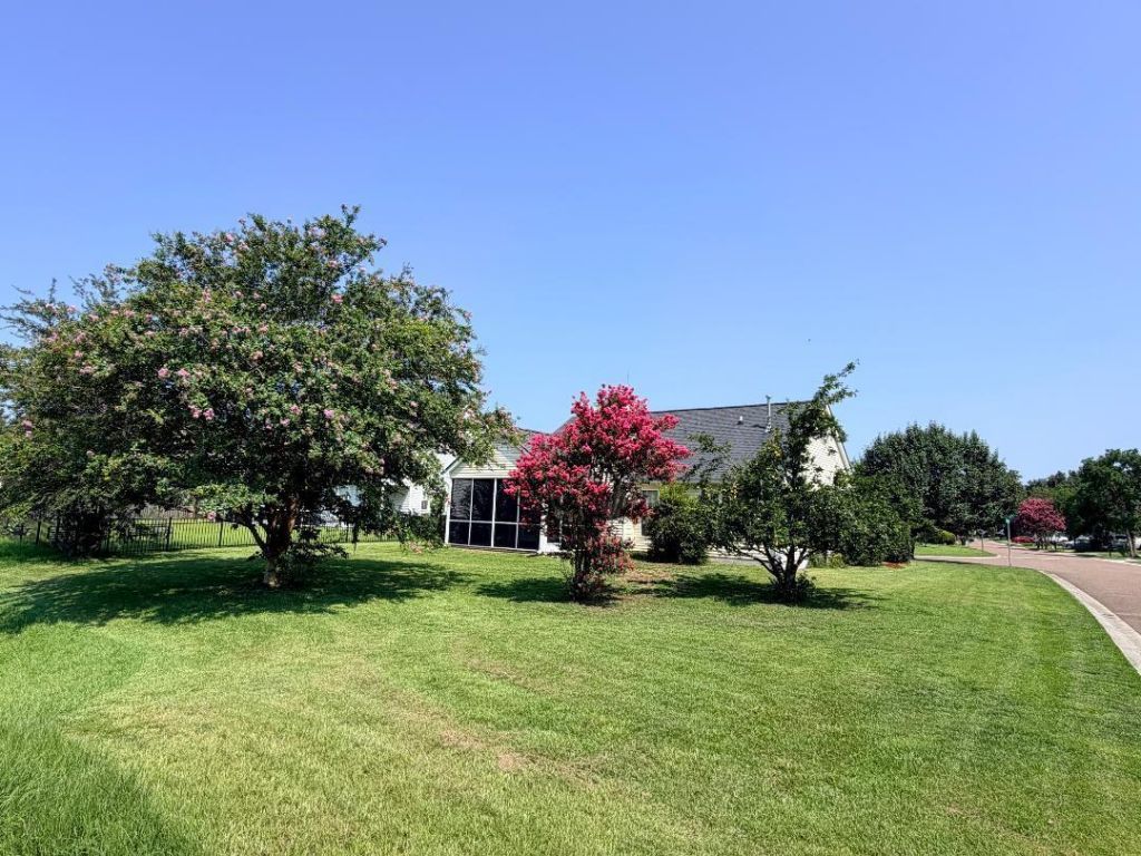 121 Cabrill Drive Photo 4