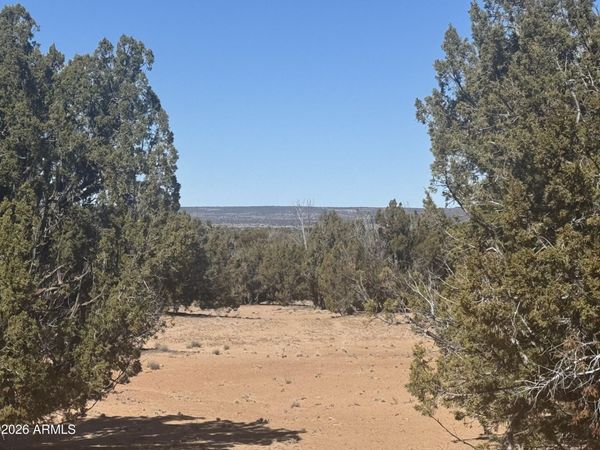Lot 52 Witch Well Ranchos, Unit 52, St Johns, AZ 85936