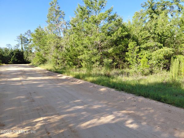 TBD THERESA Avenue, Interlachen, FL 32148