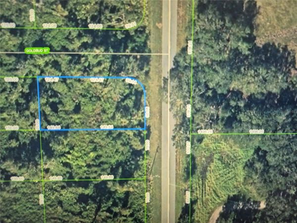 242 HIGHLANDS LAKE DRIVE , LAKE PLACID, FL 33852