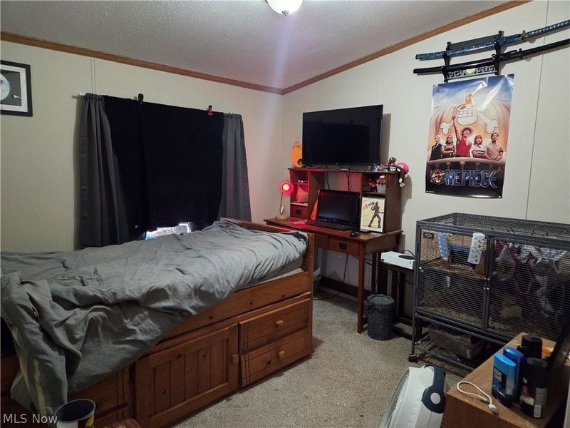 10039 State Route 700, Unit 111, Mantua, OH 44255 Photo 13