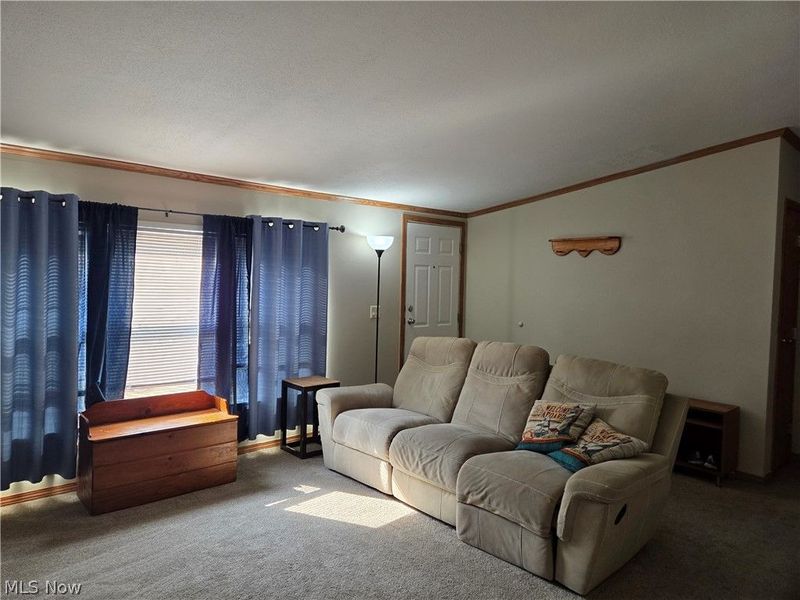 10039 State Route 700, Unit 111, Mantua, OH 44255 Photo 23