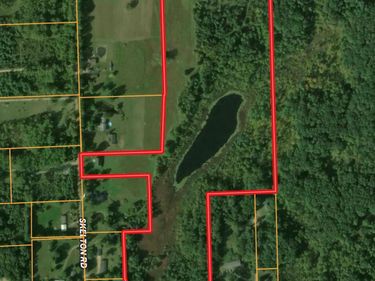 VL Skelton Road, Deerfield Township, Mi 48421
