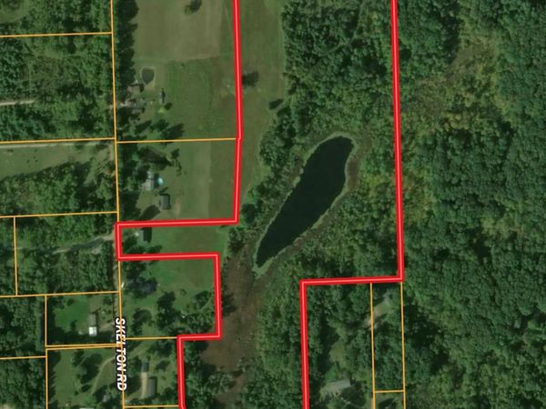 VL Skelton Road, Deerfield Township, Mi 48421