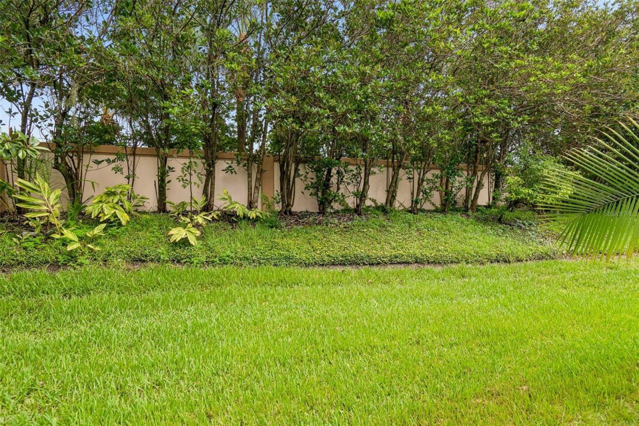 161 Shell Falls Drive , Apollo Beach, FL 33572 Photo