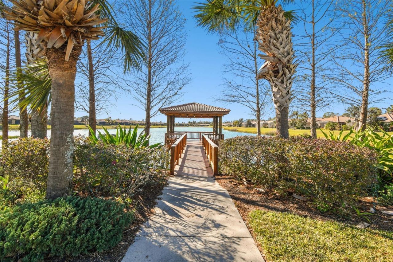 161 Shell Falls Drive , Apollo Beach, FL 33572 Photo