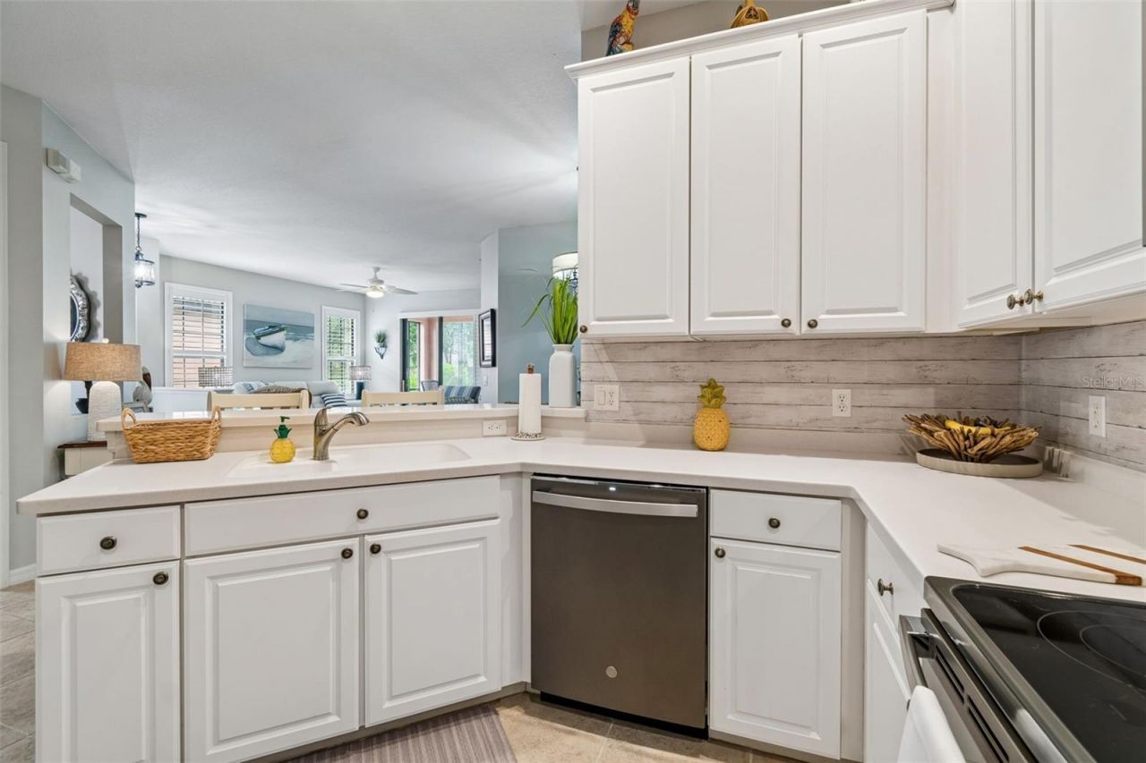 161 Shell Falls Drive , Apollo Beach, FL 33572 Photo