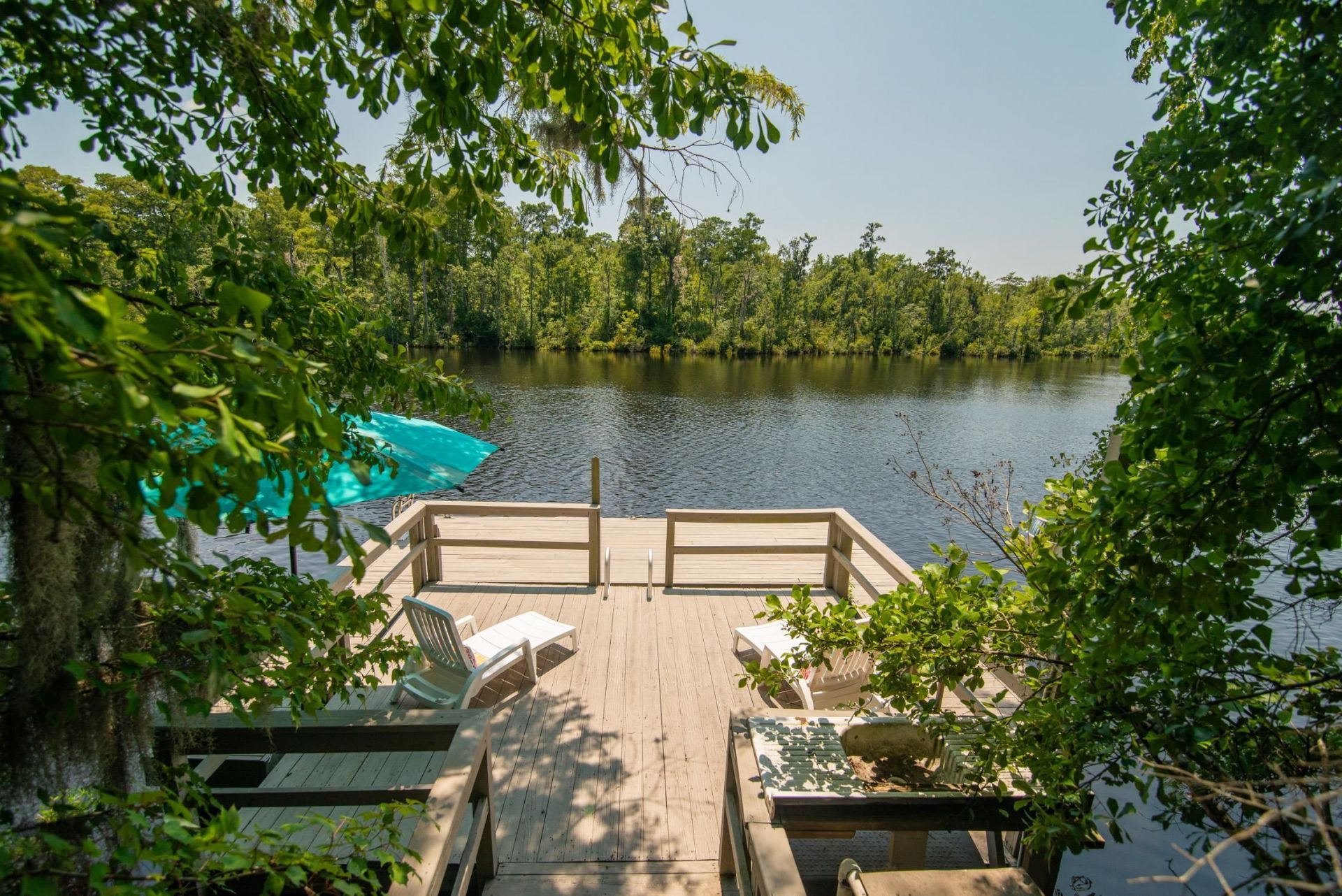 745 Francis Marion Dr. Photo 59