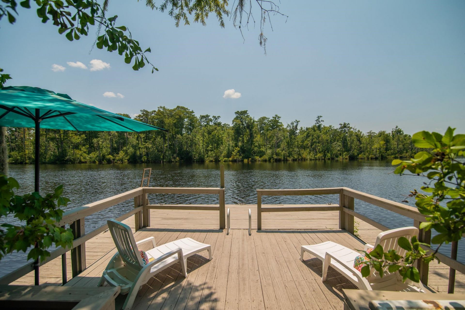 745 Francis Marion Dr. Photo 60