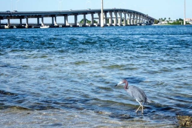 321 S Ocean Drive, Fort Pierce, FL 34949 Photo