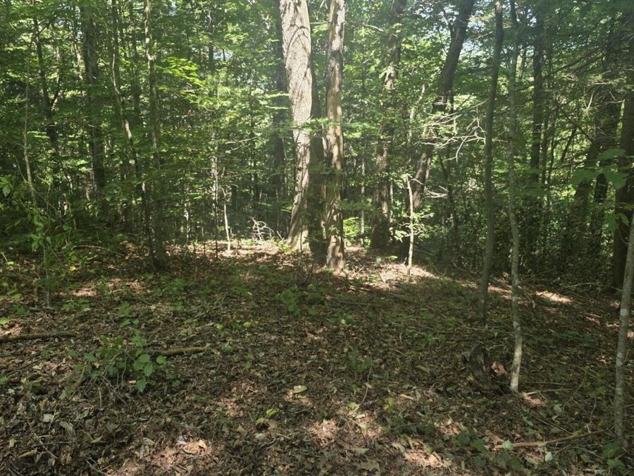 Property Image 8