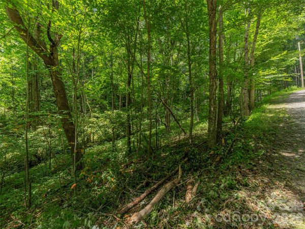 000 Rough Knob Road , Clyde, NC 28721